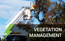 Vegetation Management.jpg
